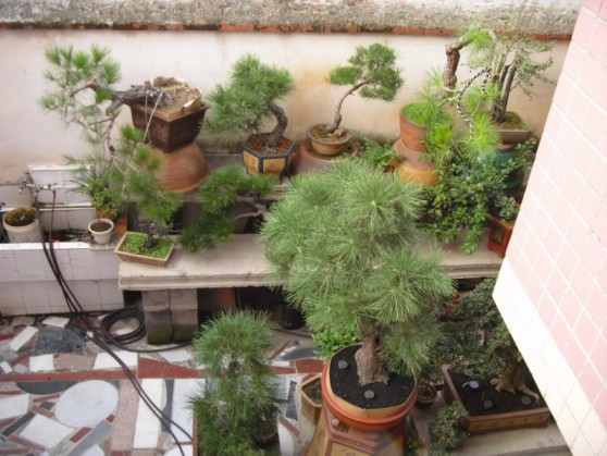 SDC13710.JPG