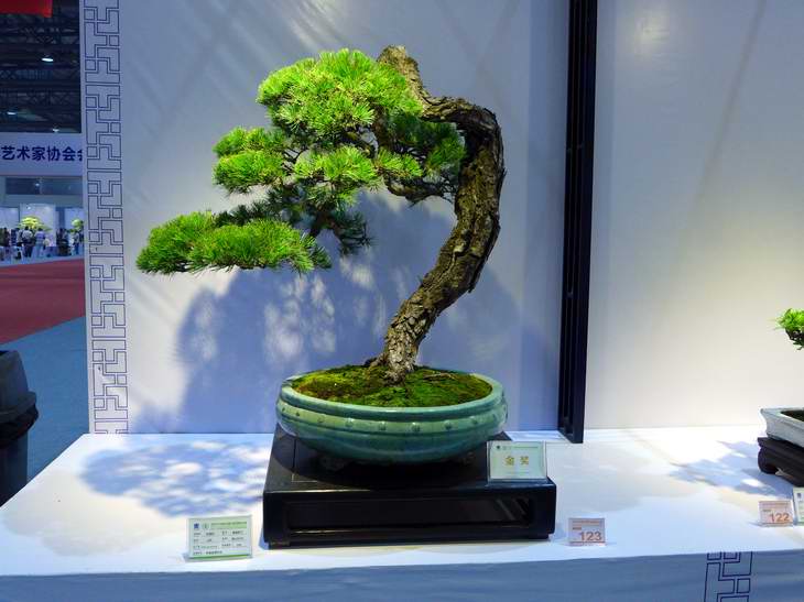 P1050224.JPG