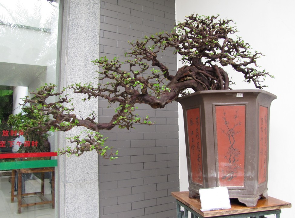 QQͼƬ20131003231456.jpg