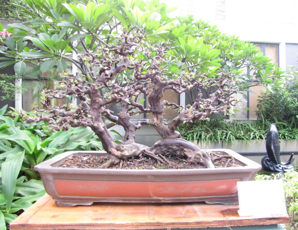 QQͼƬ20131003231521.jpg