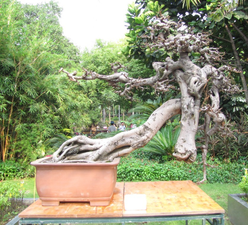 QQͼƬ20131003231559.jpg