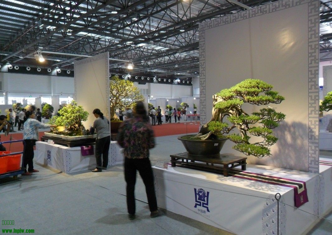 QQͼƬ20131004073753.jpg