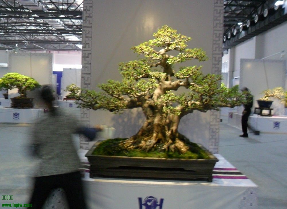 QQͼƬ20131004073825.jpg