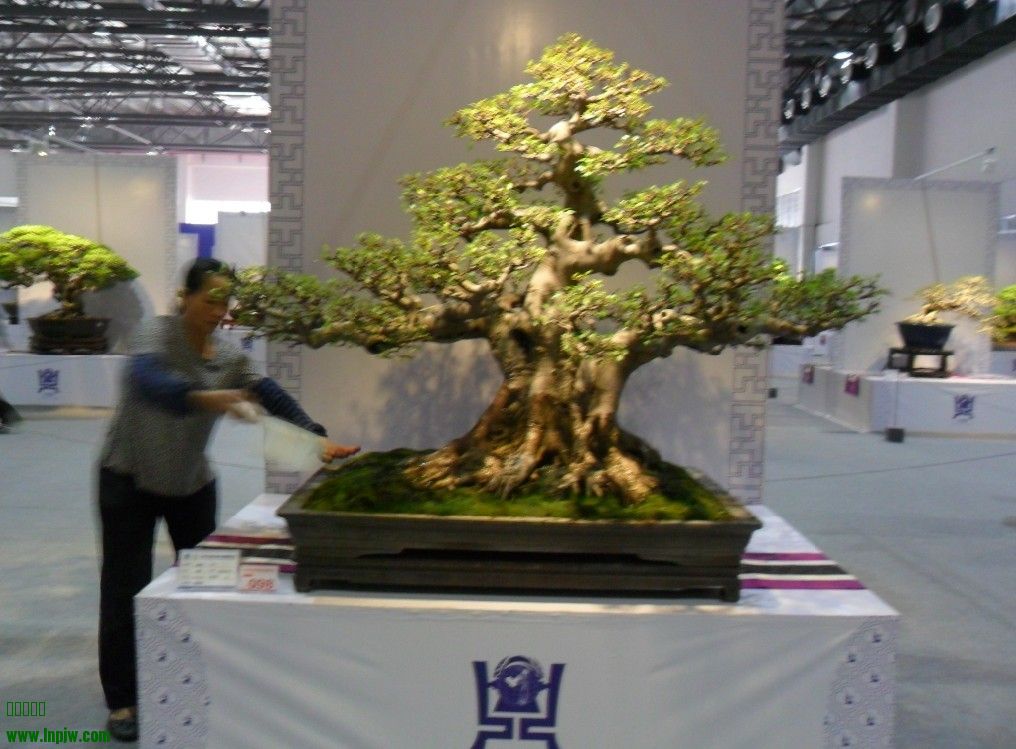 QQͼƬ20131004073852.jpg