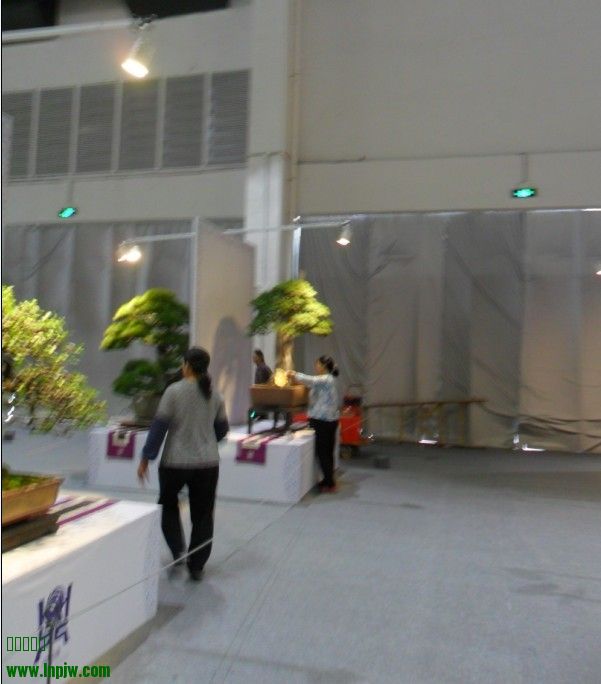 QQͼƬ20131004073916.jpg