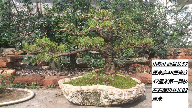 DSC_1480.jpg