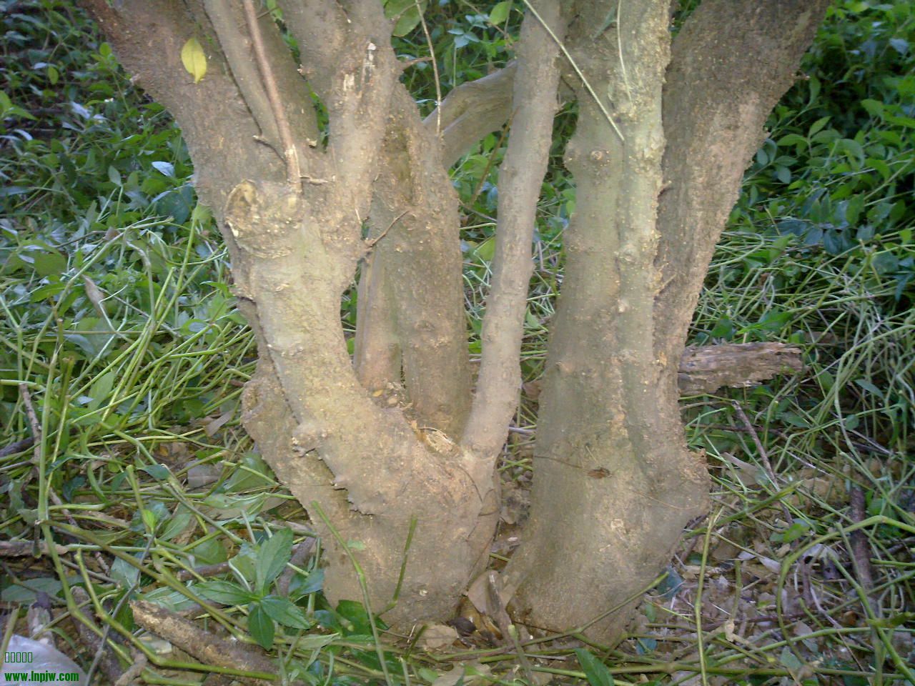 201310041228.jpg