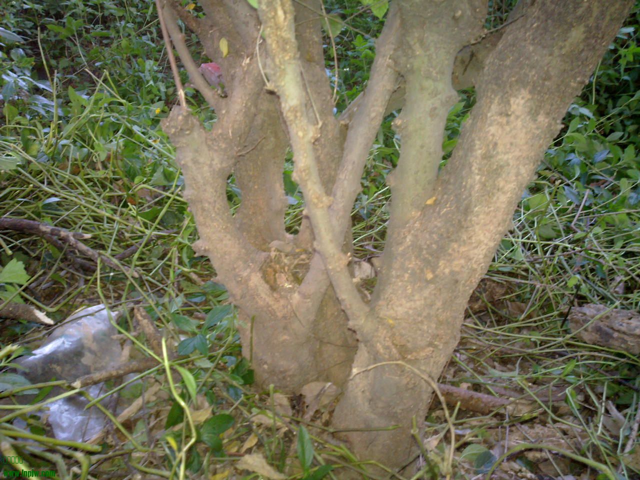 201310041230.jpg