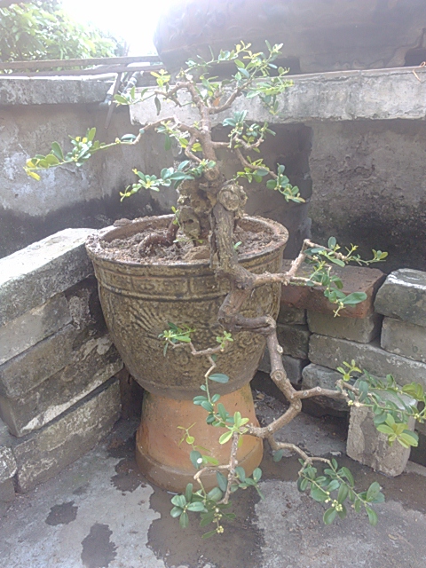 IMG_20131004_161112.jpg
