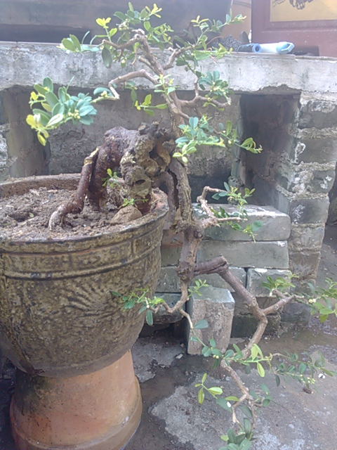 IMG_20131004_161124.jpg