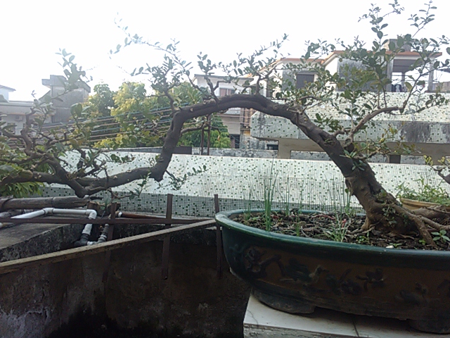 IMG_20131004_161136.jpg