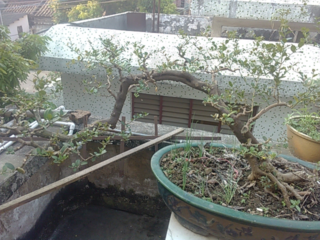 IMG_20131004_161144.jpg