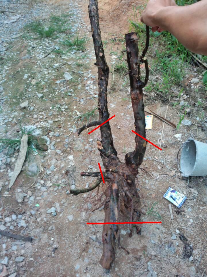 103029n7yu3iyqkuvief63.jpg.thumb[1].jpg