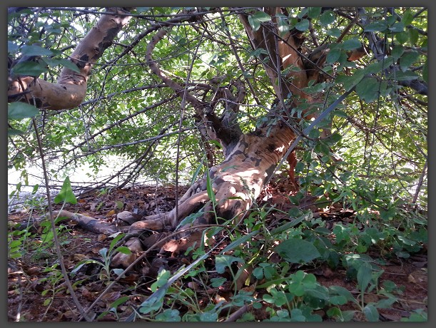 QQͼ20131008095554.jpg