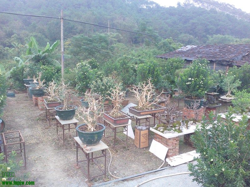 IMG20131007004.jpg