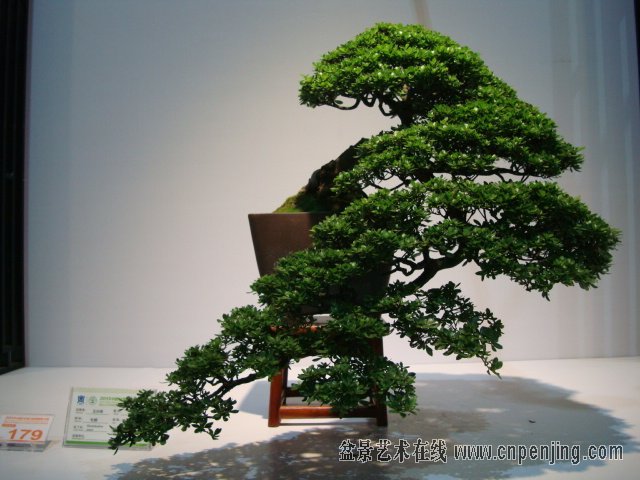 084818f33kucrpt2umceca.jpg