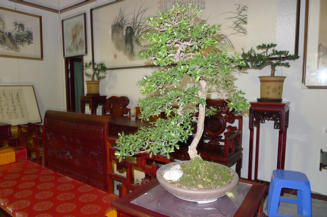 P1020354.JPG