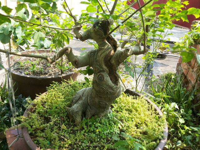 20130914_111336.jpg