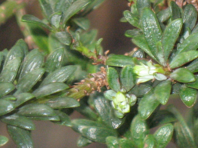 IMG_6621.JPG