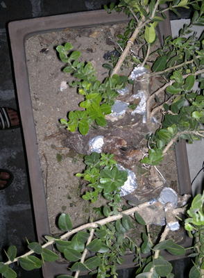 nEO_IMG_201310061576.jpg