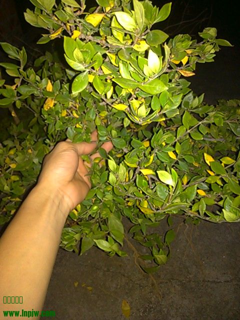 IMG_20131013_200607.jpg