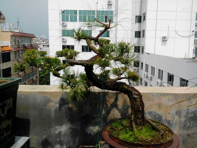 20131013205850.jpg