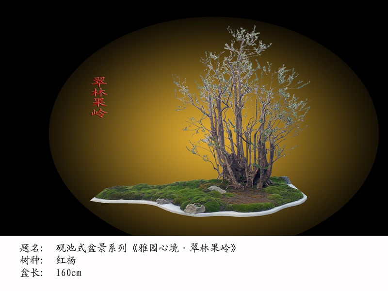IMG20131013003.jpg