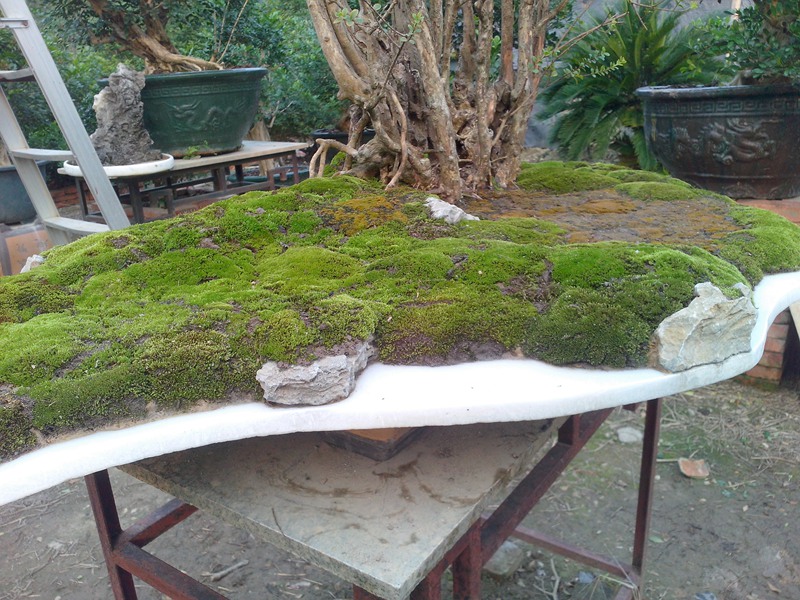 IMG20131013006.jpg