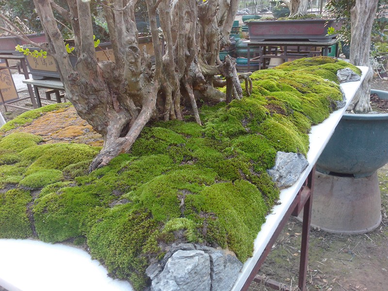 IMG20131013008.jpg