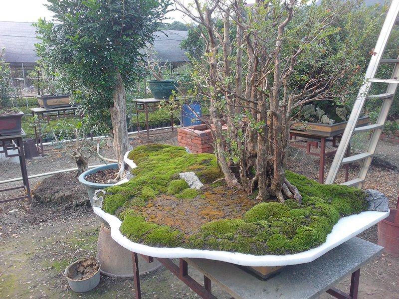 IMG20131013009.jpg