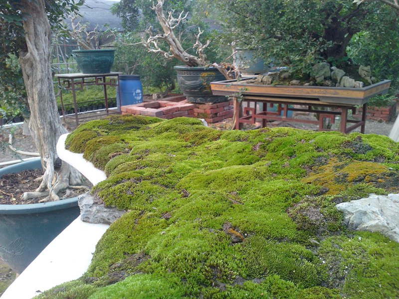 IMG20131013010.jpg