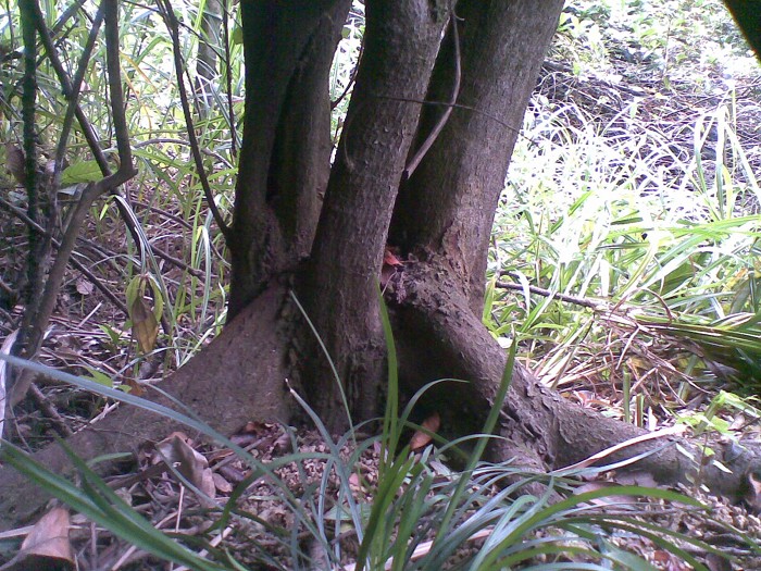 20131010(012)ͼ.jpg