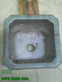 IMG0191A.jpg