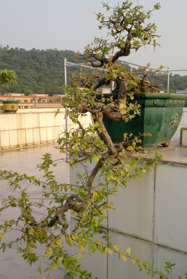 nEO_IMG_201310101591.jpg