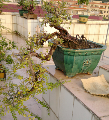 nEO_IMG_201310101592.jpg