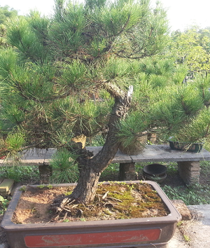 QQͼ20131015124606.png