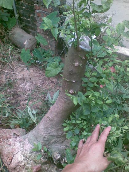 20131016(001).jpg