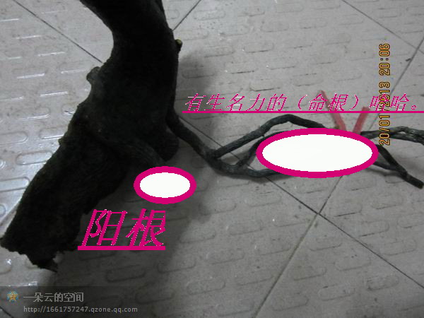 psbCAQ3J32O.jpg