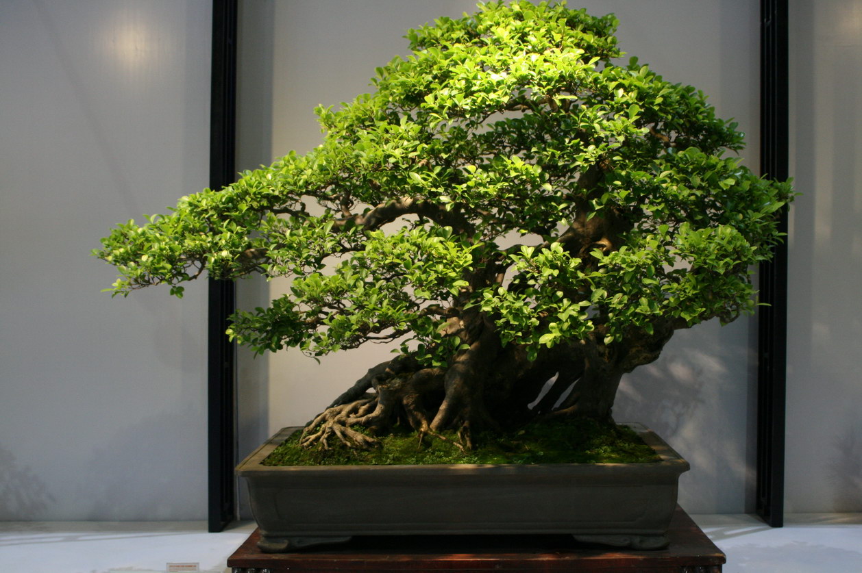 SBQ_20130929_1018.JPG