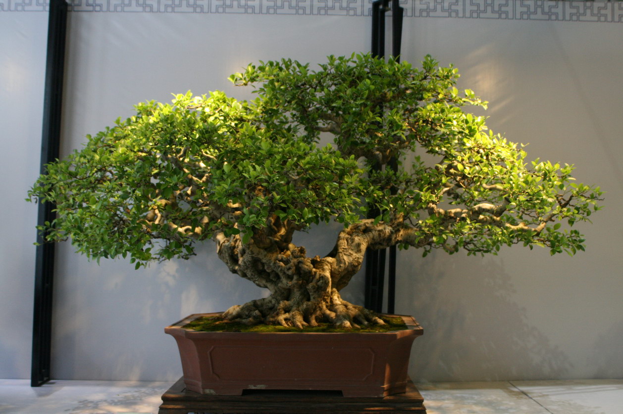 SBQ_20130929_1019.JPG