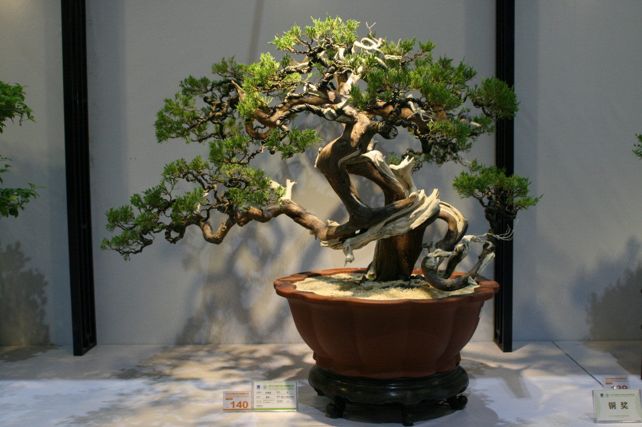 SBQ_20130929_1026.JPG