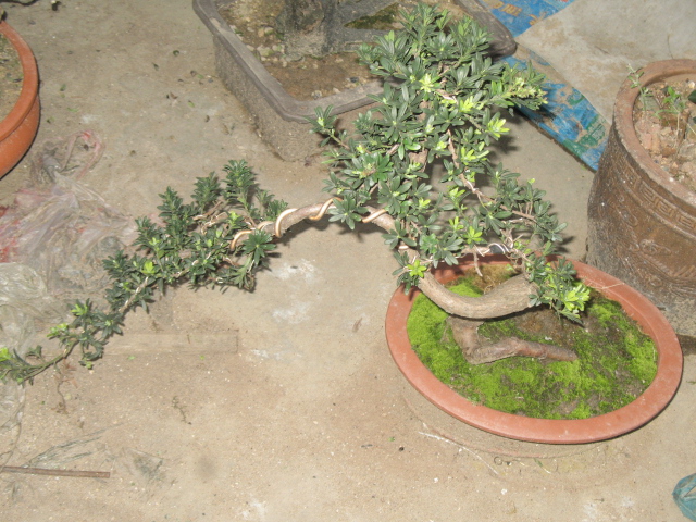 IMG_5393.JPG