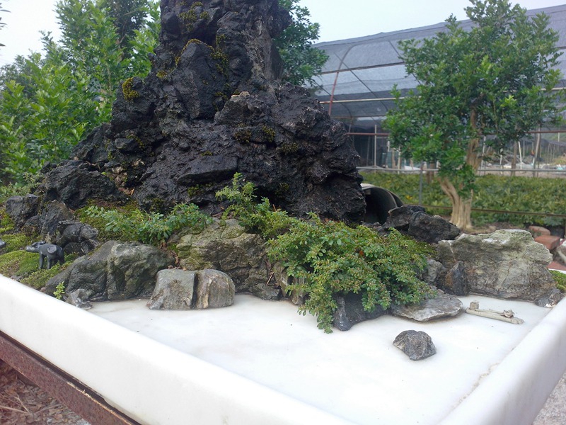 IMG20131019003.jpg