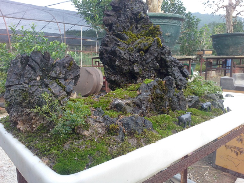 IMG20131019004.jpg