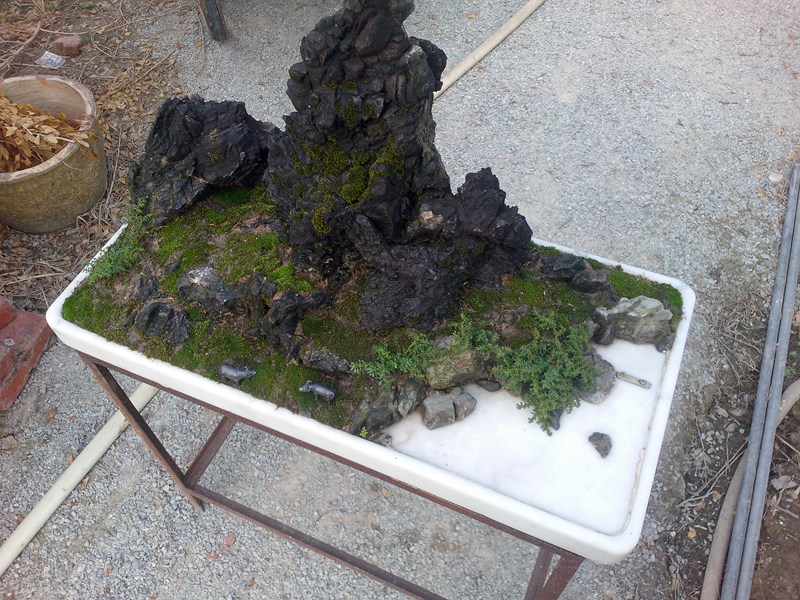 IMG20131019005.jpg