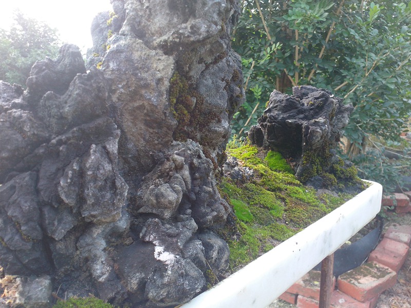 IMG20131019006.jpg