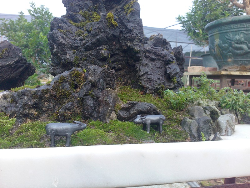 IMG20131019007.jpg