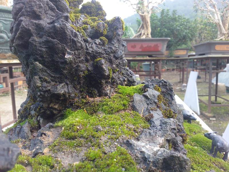 IMG20131019008.jpg