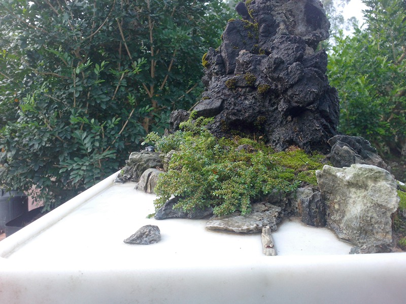 IMG20131019009.jpg