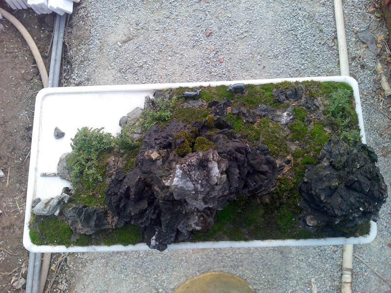 IMG20131019010.jpg